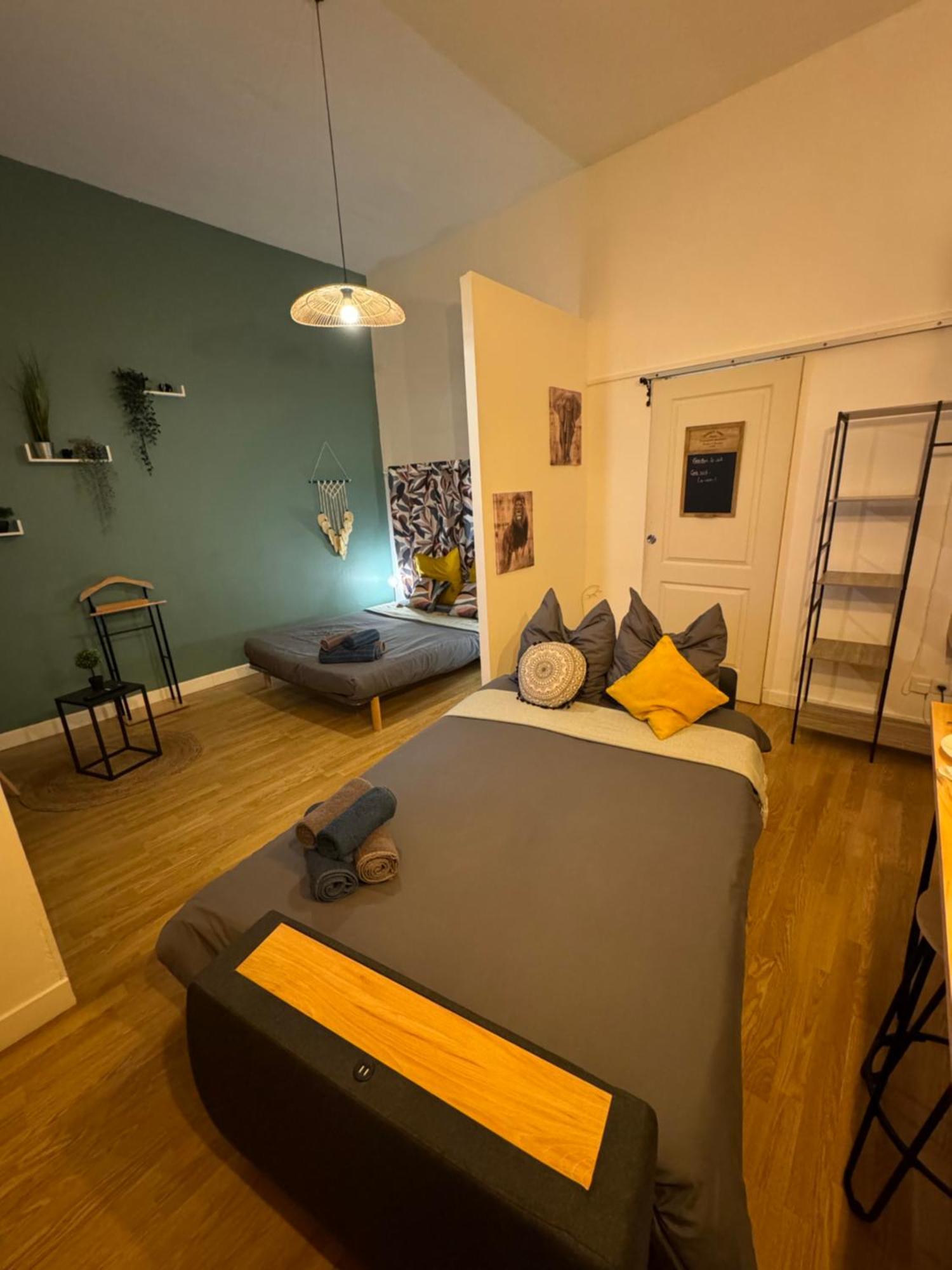 Charmant Appartement Climatise Aux Pieds De La Cite Carcassonne Exterior foto